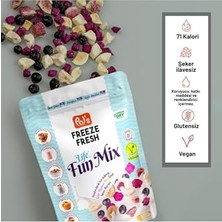 Kazan Hobi Dondurularak Kurutulmuş Fun Mix 20 G