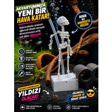 Kazan Hobi Hava ile Oynayan Iskelet Akvaryum Dekoru
