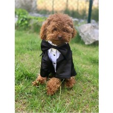 Kazan Hobi Köpek Kedi Smokin Ceket Gömlek (Medium)