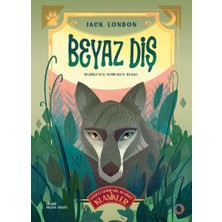 Orenda Beyaz Diş