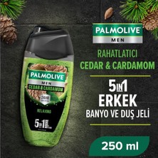 Şanal Palmolive Men Duş Jeli 250 ml Cedarwood