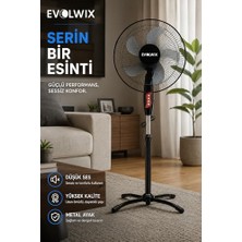 Defne Store 16'' Inç Siyah Ayaklı Vantilatör