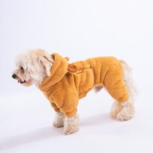 Şanal Latte Koala Peluş Küçük Irk Köpek Tulumu (L)
