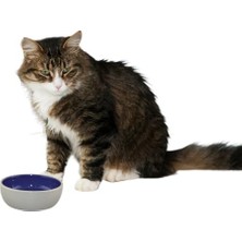 Şanal Ethical 5 Inç Kedi Veya Sürüngen Seramik Tabak