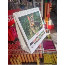 Defne Store Kare Masa Takvimi, Kediler, Çok Renkli