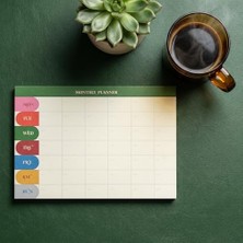 Defne Store Paperto. Tarihsiz A4 Aylık Masa Planlayıcı – 80 Yaprak, 110 G. Ivory, Minimal Tasarım, Ofis & Ev Için Aylık Takip (Ingilizce)