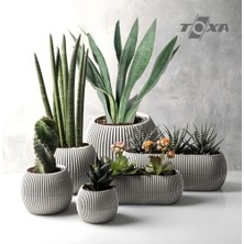 Şanal Mercan Saksı Set Dekoratif Drenajlı Çizgili Mat (6 Parça, Bej)