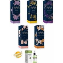 Defne Store Kolonya 250 ml Cam Şişe 5'li Set, Kaşmir, Mimoza, Elegance, Portakal Çiçeği, Pudra
