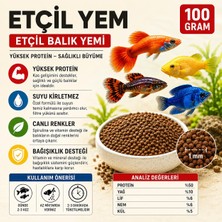 Defne Store Etçil Akvaryum Balık Yemi, Granül 500–800 Micron, Yüksek Proteinli %50, Hızlı Büyüme, Canlı Renk, Tüm Tropikal Balıklar Için (100 G)