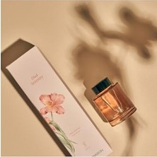 Defne Store Oud Serenity Oda Kokusu Amber (100 Ml)