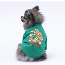 Defne Store Yeşil Chongqing Polarlı Küçük Irk Köpek Sweatshirtü (L)