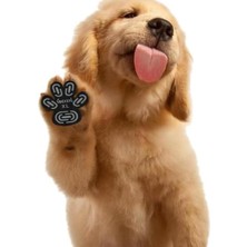 Defne Store Su Geçirmez, Kaymaz, Aşınmaya Dayanıklı, Köpek Pençe Koruyucu (S)