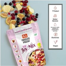 Defne Store Dondurularak Kurutulmuş Joy Mix 20 G