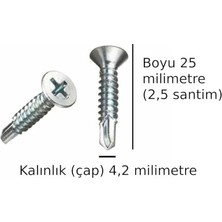 Şanal Akıllı Vida Metal Aleminyum Plastik Profil Delen Vidalar Havşa Başlı Ucu Delik Açan Vida Boy 25 Milimetre Çap 4,2 Milimetre Toplam 20 Adet