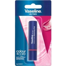 Defne Store Lip Colour+ Care Blooming Pink