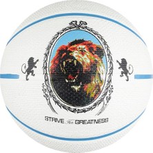 Defne Store N1004372-086 Lebron Playground 2.0 Kauçuk 7 No Basketbol Topu