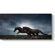 aklow akyoleticaret Koşan Siyah Atlar 60 x 30