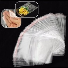 aklow akyoleticaret Şeffaf Bantlı (35X45 Cm) Parlak Jelatin Poşet, 100 Adet Şeffaf Hediye Poşeti