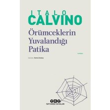 aklow akyoleticaret Örümceklerin Yuvalandığı Patika