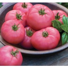 Şanal Pembe Domates Tohumu - Çoklu Seçenek - 100 Adet