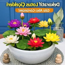 Şanal 20 Adet Lotus Çiçeği Tohumu Nilüfer Çiçeği Karışık Renkli Orjinal Lotus Su ve Toprakta Yetişir