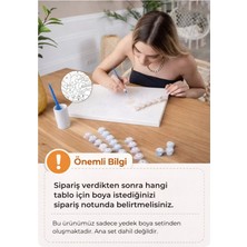 Tabdiko Sayılarla Boyama - Boya Seti