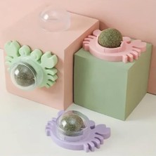 Şanal Kedi Oyuncağı, Catnip Topu, 4 cm Boyutunda