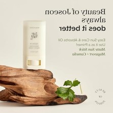 Şanal Mat Güneş Kremi, 18 Ml, Mugwort ve Camelia Içerir