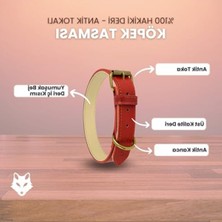 Şanal Hakiki Deri Antik Tokalı Köpek Tasması - Dayanıklı Tasarım