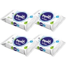 Şanal 80 Yapraklı Makyaj Temizleme Mendili, 4X20 Adet
