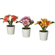 aklow akyoleticaret Yapay Çuha Çiçeği Saksı Bitkisi, Karışık Renkler, 6 Cm, 3'lü Set, Iç ve Dış Mekan