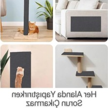 Şanal Yapışkanlı Kedi Tırmalama Halısı - 40X50 cm