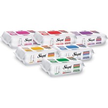 aklow akyoleticaret Premium ve Çiçek Serisi Yüzey Temizlik Havlusu, 6X100 Karma Paket
