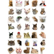 aklow akyoleticaret "kedi Mood Sticker Seti" 35 Adet - Bullet Journal - Ajanda -Planner - Defter - Laptop-Tablet Için