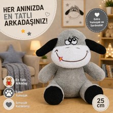 Şanal Figürlü Peluş Ayıcık, Sevgiliye Hediye Için Şirin Bir Seçenek