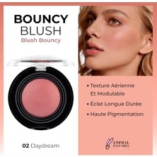 aklow akyoleticaret Bouncy Blush 02 Daydream Yumuşak Kremsi Allık