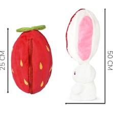 Şanal Peluş Ayıcık ve Çiçek Buketi