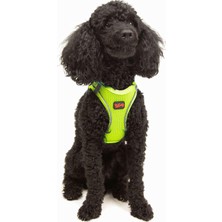 Şanal Tailpetz Air-Mesh Küçük ve Orta Irk Kedi Köpek Göğüs Tasması - Yumuşak, Nefes Alabilir, Dayanıklı (Neon-Sarı, Xsmall)