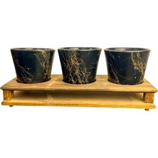 Şanal Bitki Tasarımı Ev Dekorasyon Aksesuar Siyah Gold Mermer Efektli Toprak Saksı Üçlü Ahşap Tabanlı Çiçeklik Saksı Saksılık