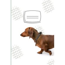 aklow akyoleticaret Dachshund Köpek Temalı Çizgili Defter ve Günlük