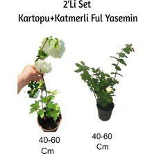Şanal Kartopu+ Katmerli Ful Yasemin Çiçeği2'li Set Dış Mekan Bitkisi, BTSNU1202043