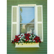 Şanal Serada Decor & Plant Cam Güzeli Çiçeği, 20-30 Cm, 2 Adet Saksılı Çiçekli Bodur Bitki, Impatiens Walleriana, Kırmızı