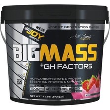 Big Mass Gh Factors 5 kg Çilekli Pro Gainer
