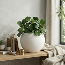 Küre Saksı Dekoratif Salon ve Bahçe Saksısı 20 cm Içliksiz