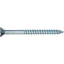 aklow akyoleticaret The Group, Düz Başlı Phillips, 100'LÜ, Çinko, 40033-6 x 2-Inç, Ahşap Vida (, Paket)