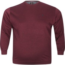 AlanyaXXL Büyük Beden Erkek Pamuklu Triko Sweat