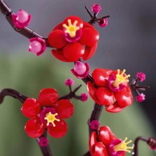 NW NessiWorld Icons Erik Çiçeği 10369