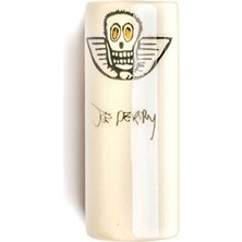 aklow akyoleticaret Bottleneck Joe Perry
