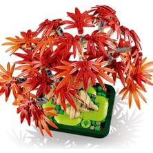 NW NessiWorld Botanicals Japon Kırmızı Akçaağaç Bonsai Ağacı 10348