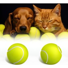 Şanal Kanji 2'li Kedi Köpek Tenis Topu | 7.5 cm Orta Boy Dayanıklı Evcil Hayvan Oyuncağı | Diş Dostu, Suda Batmaz, Eğitim ve Oyun Topu | Iç-Dış Mekan, Parlak Renkli